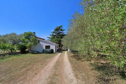 Pjer 1 * Bibinje