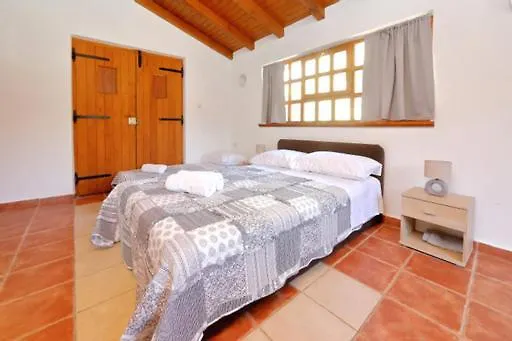 Apartman Pjer 1
